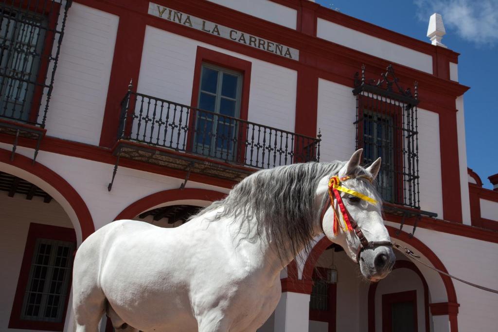 Hotel La Carrena à Jerez de la Frontera Chambre photo