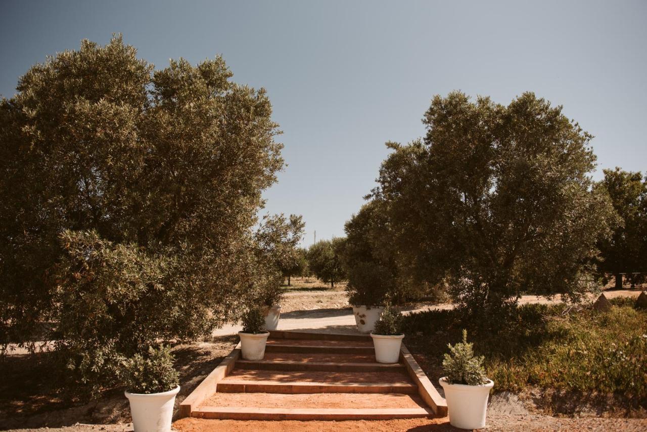 Hotel La Carrena à Jerez de la Frontera Extérieur photo